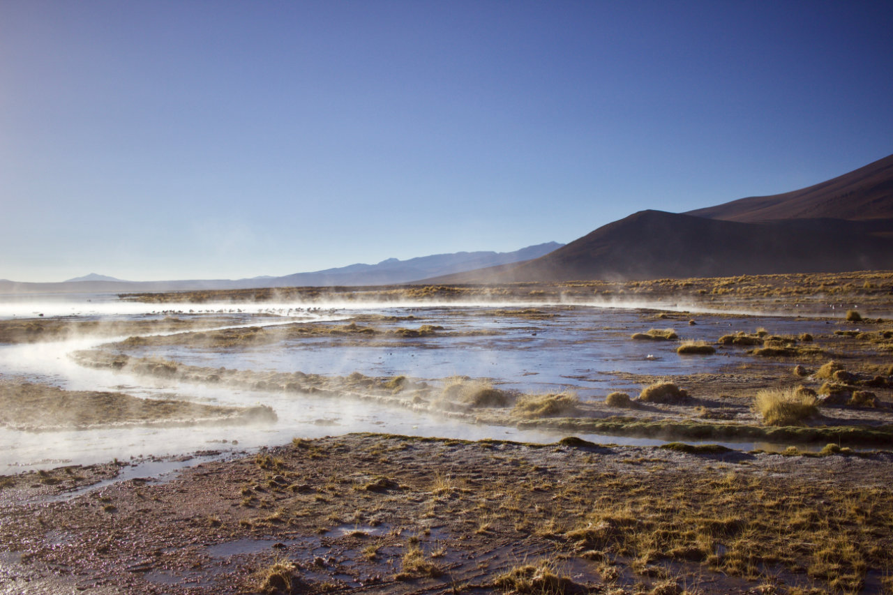 A geothermal landscape where steam rises in low-lying wisps from muddy ground and shallow pools of water dotted with tufts of yellow grass, set against a backdrop of dark hills and distant mountains under a clear blue sky.