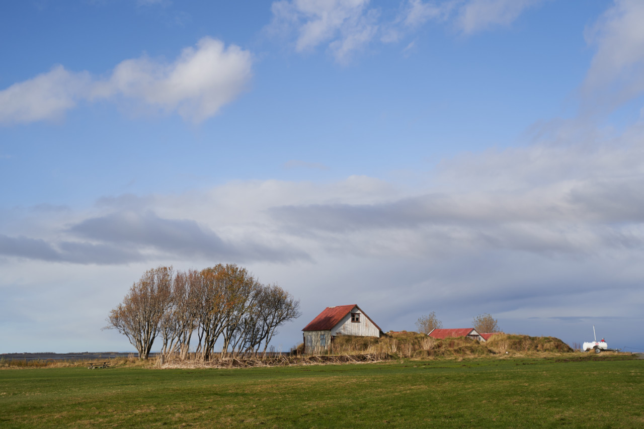 rural scene featuring a small white house with a red roof nestled into a grassy mound next to a cluster of trees turning yellow and brown for autumn, set against a wide blue sky with scattered clouds above flat coastal land.